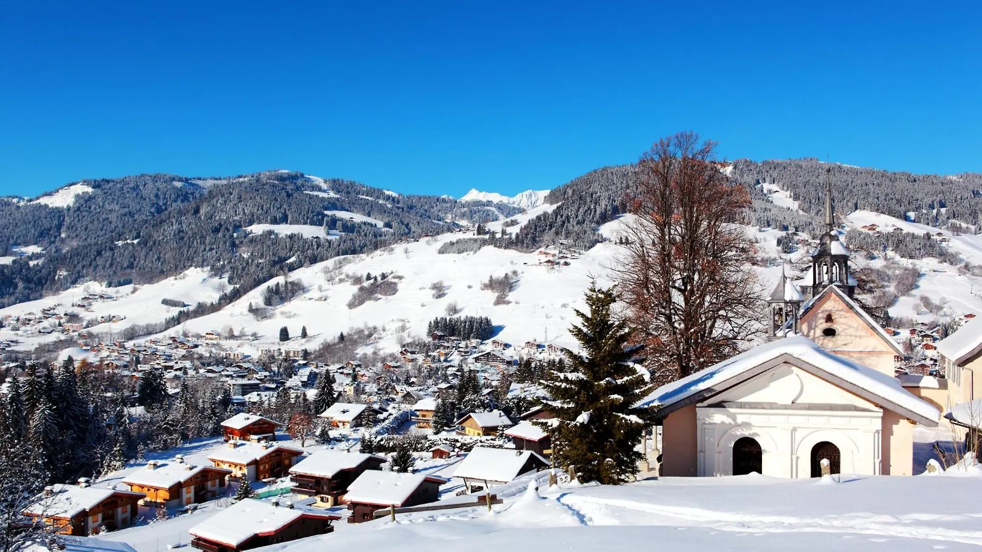 Chalet Albert 1 Er Megeve Village France